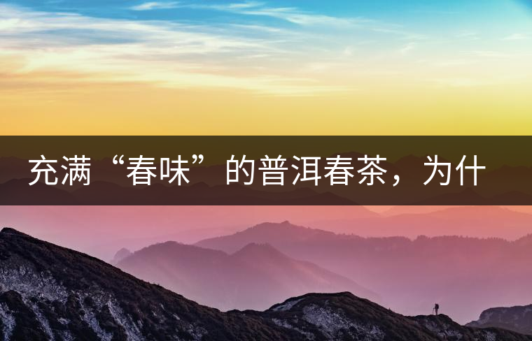 充滿“春味”的普洱春茶，為什么值得期待？