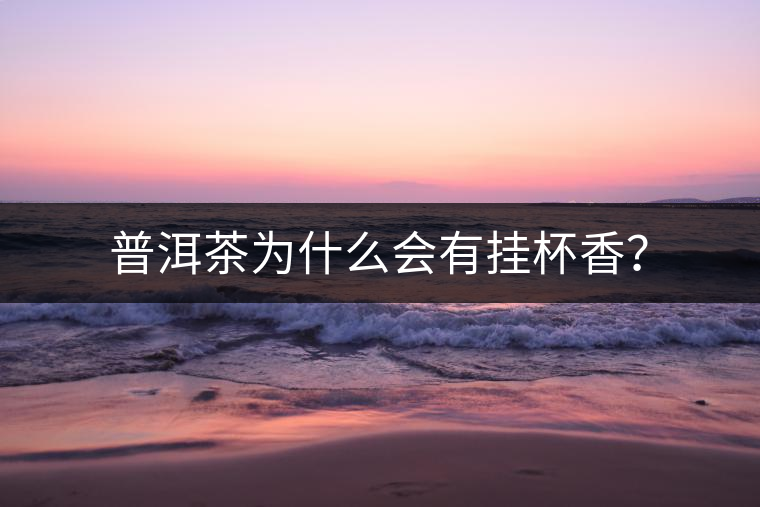 普洱茶為什么會(huì)有掛杯香？