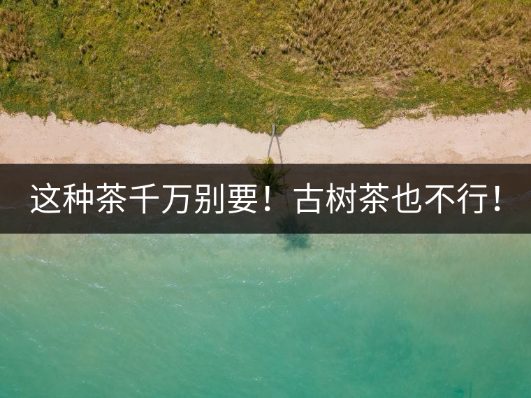這種茶千萬別要！古樹茶也不行！