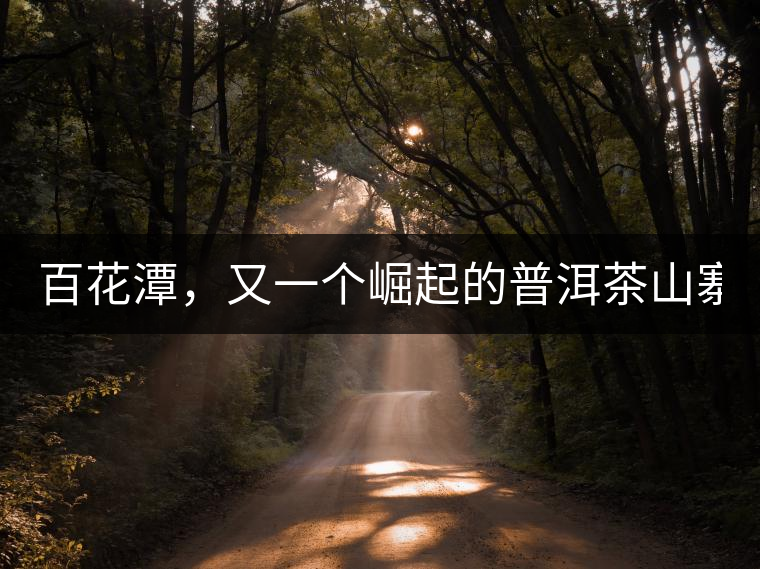 百花潭，又一個(gè)崛起的普洱茶山寨！