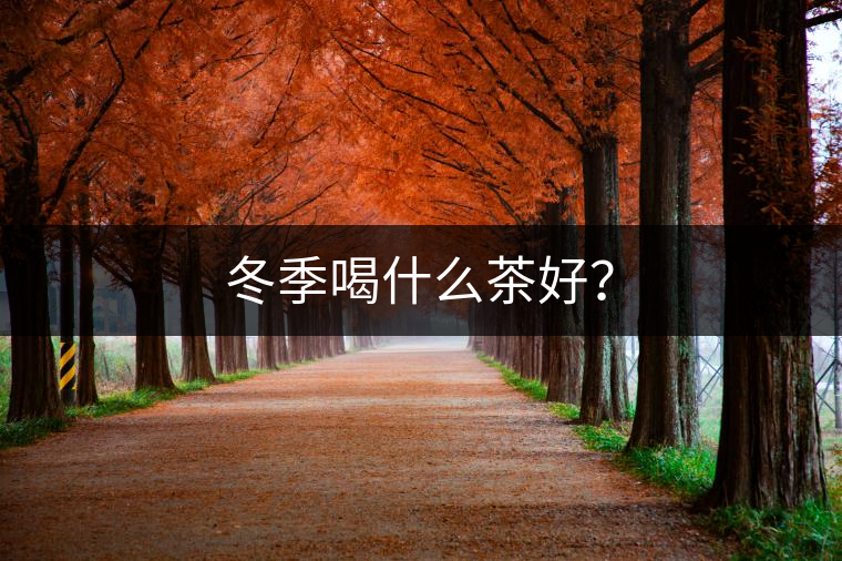 冬季喝什么茶好？
