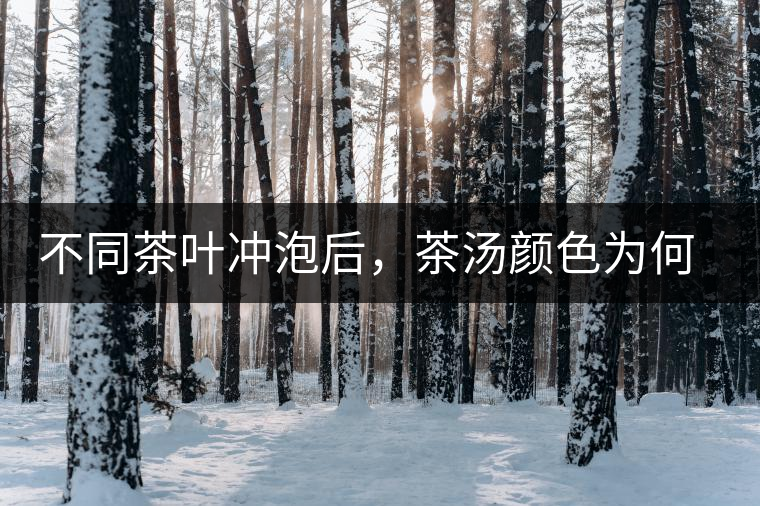 不同茶葉沖泡后，茶湯顏色為何各不相同？