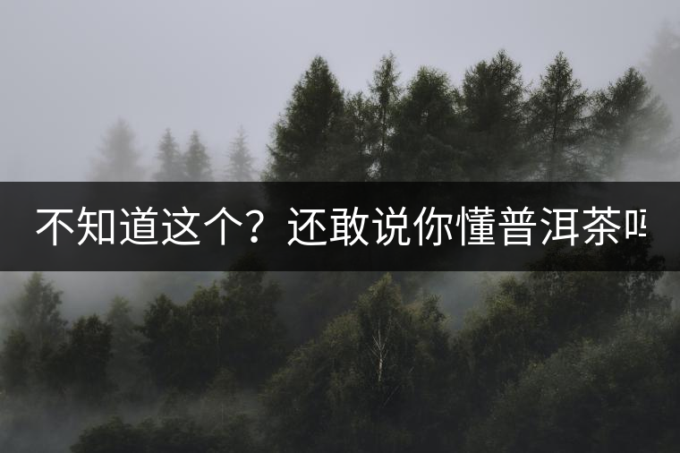 不知道這個？還敢說你懂普洱茶嗎？