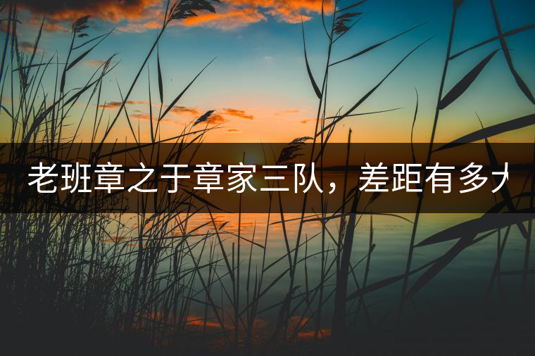 老班章之于章家三隊，差距有多大？