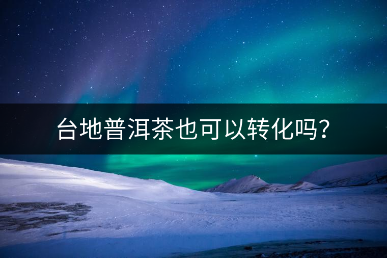 臺地普洱茶也可以轉化嗎？