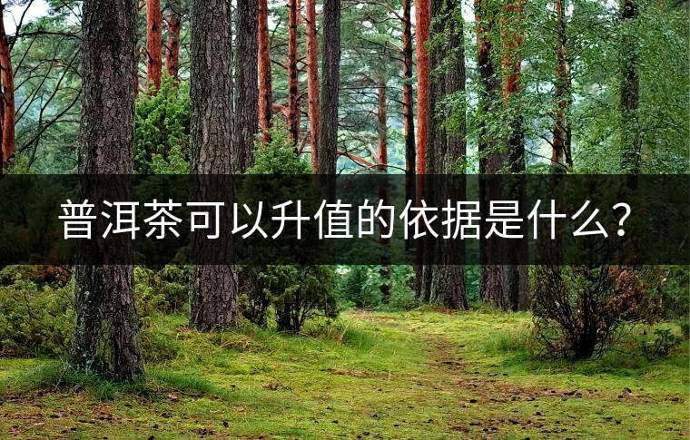 普洱茶可以升值的依據(jù)是什么？