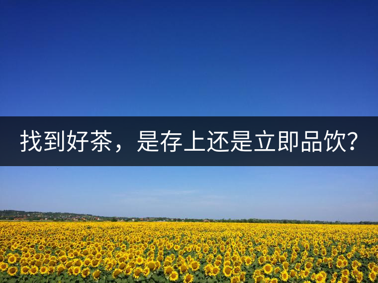找到好茶，是存上還是立即品飲？