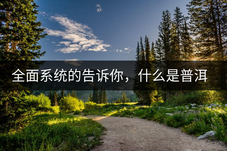 全面系統(tǒng)的告訴你，什么是普洱茶