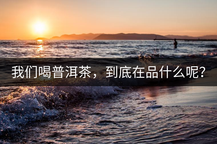 我們喝普洱茶，到底在品什么呢？