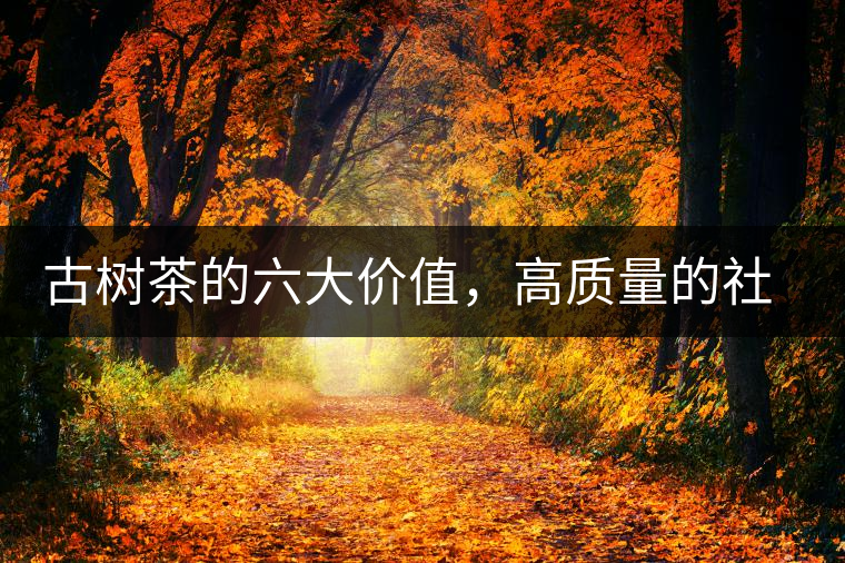 古樹茶的六大價(jià)值，高質(zhì)量的社交都離不開古樹茶