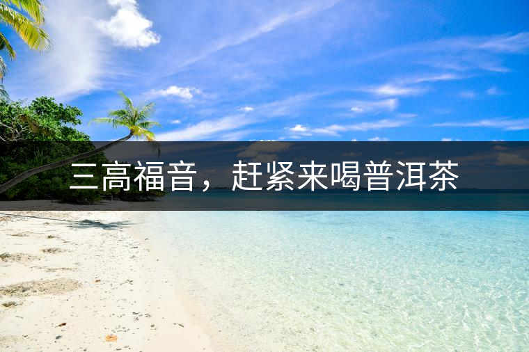 三高福音，趕緊來(lái)喝普洱茶