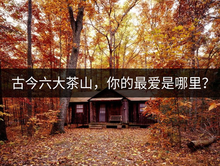 古今六大茶山，你的最愛是哪里？