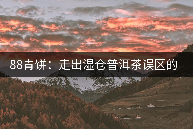 88青餅:走出濕倉(cāng)普洱茶誤區(qū)的功臣 88青餅:走出濕倉(cāng)普洱茶誤區(qū)的功臣