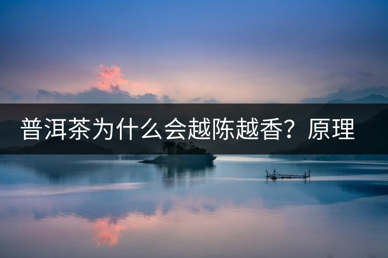 普洱茶為什么會(huì)越陳越香？原理是什么？