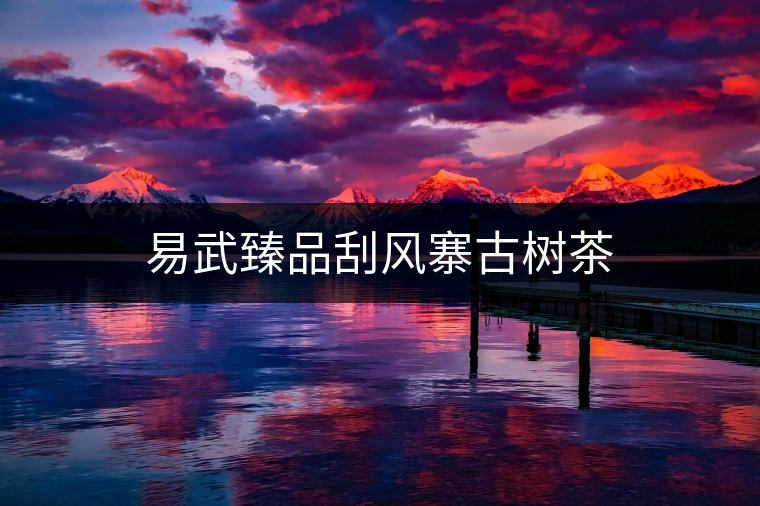 易武臻品刮風(fēng)寨古樹(shù)茶