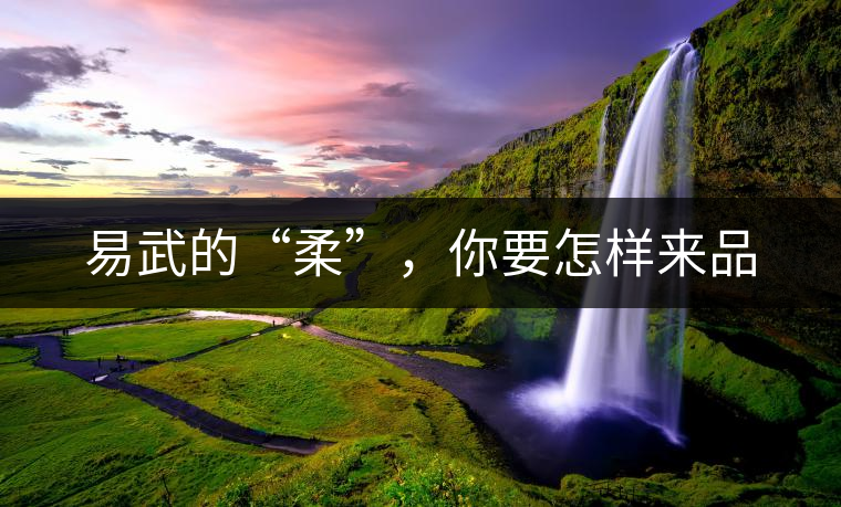 易武的“柔”，你要怎樣來品