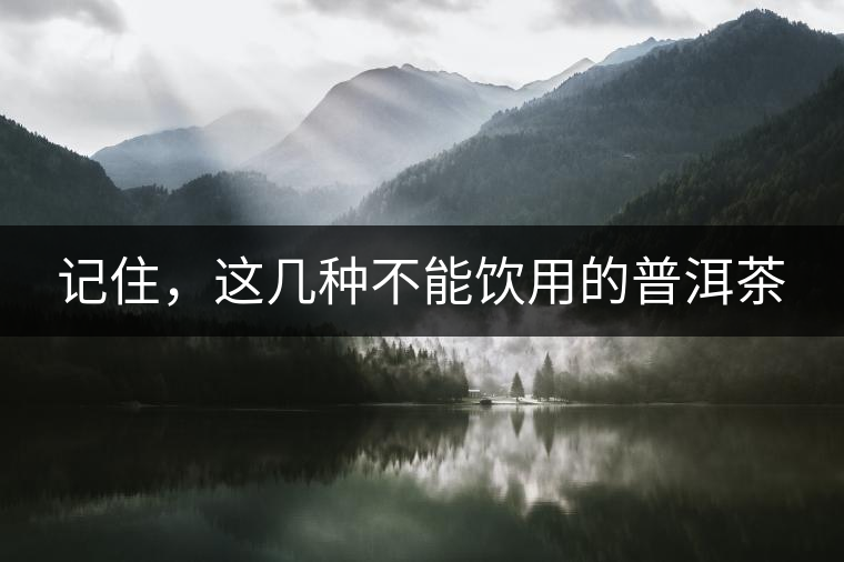 記住，這幾種不能飲用的普洱茶