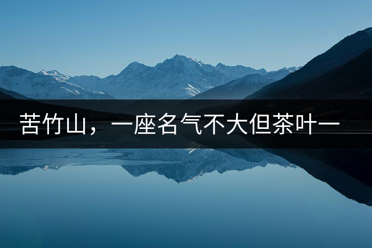 苦竹山，一座名氣不大但茶葉一流的古茶山