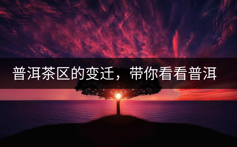 普洱茶區(qū)的變遷，帶你看看普洱茶地域分布