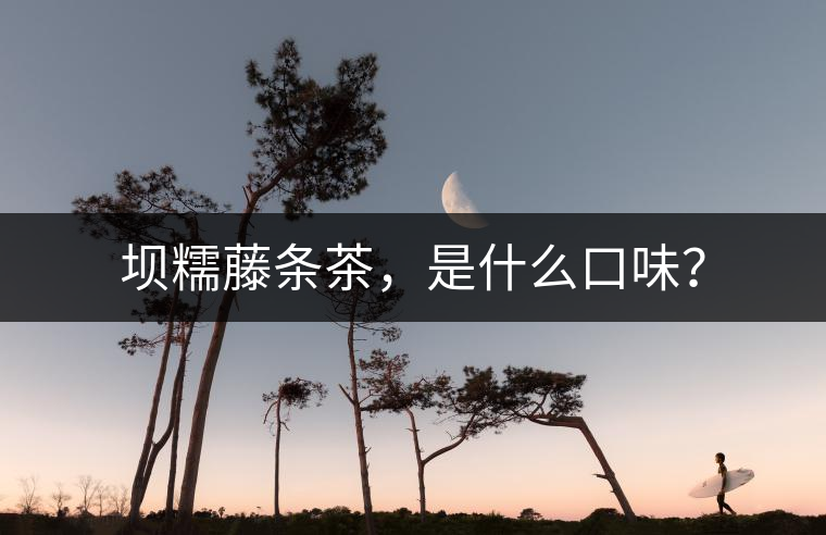 壩糯藤條茶，是什么口味？