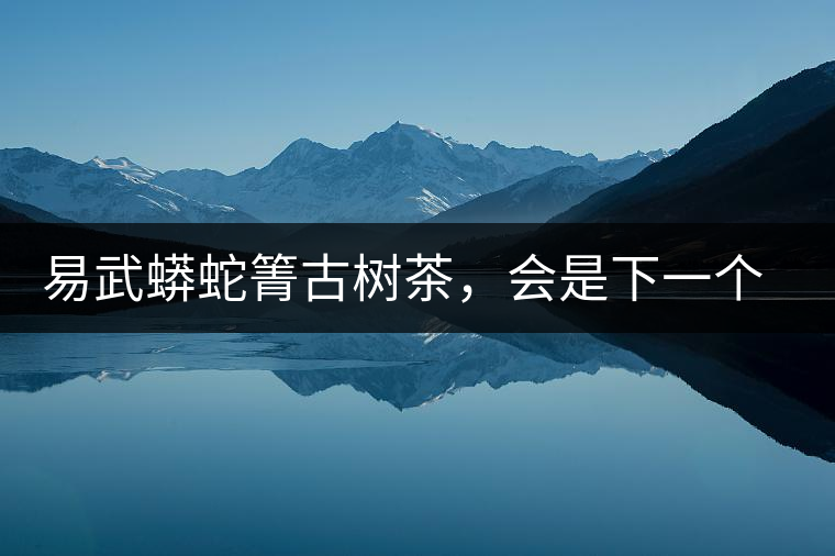 易武蟒蛇箐古樹茶，會(huì)是下一個(gè)銅箐河嗎？