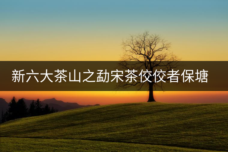 新六大茶山之勐宋茶佼佼者保塘古樹(shù)茶