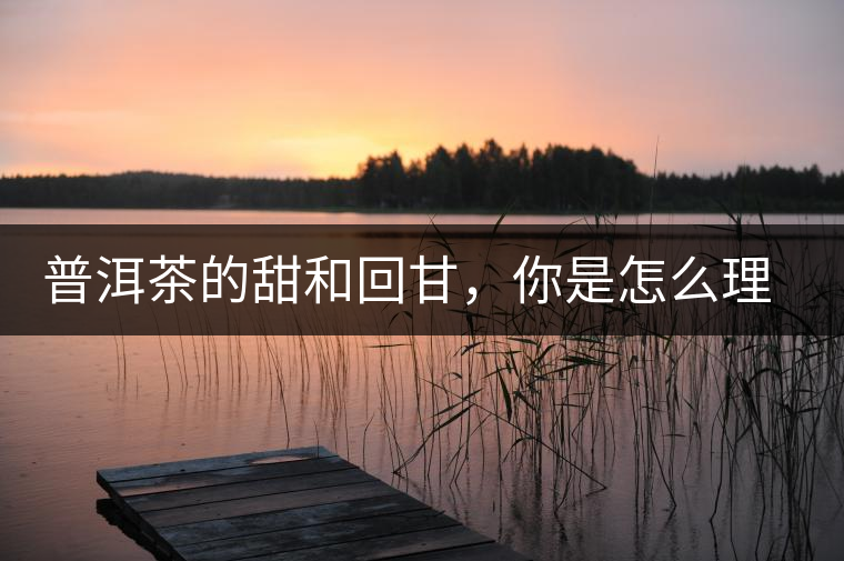 普洱茶的甜和回甘，你是怎么理解的？