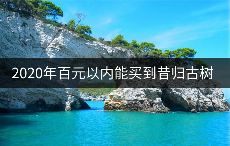 2020年百元以內(nèi)能買到昔歸古樹嗎？