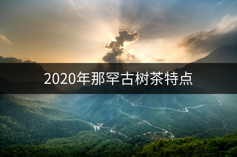 2020年那罕古樹茶特點(diǎn)