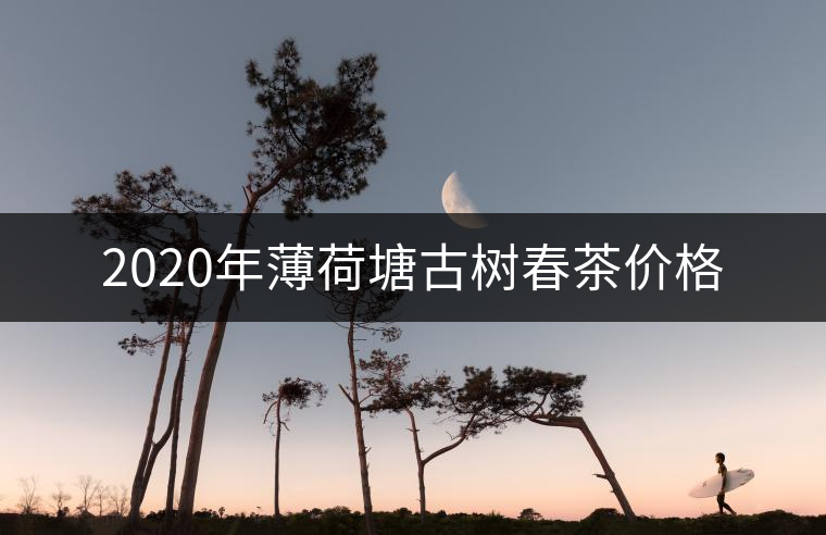2020年薄荷塘古樹(shù)春茶價(jià)格
