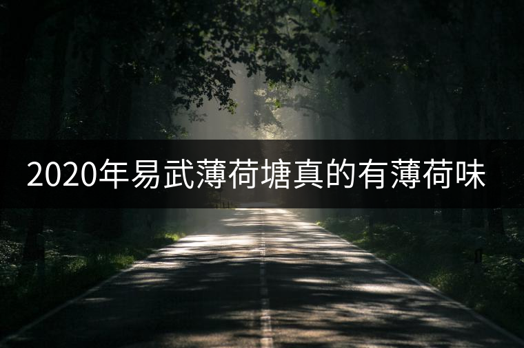 2020年易武薄荷塘真的有薄荷味嗎？