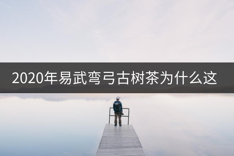 2020年易武彎弓古樹茶為什么這么貴？