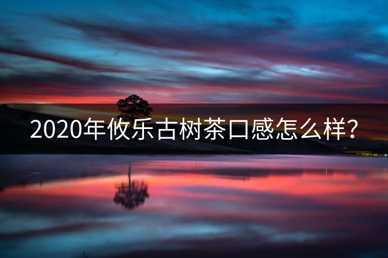 2020年攸樂古樹茶口感怎么樣？