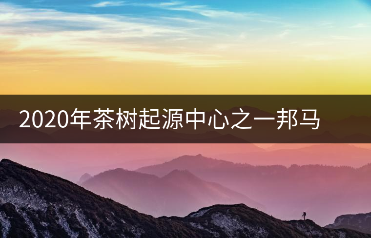 2020年茶樹起源中心之一邦馬大雪山上有哪些神秘的村寨？