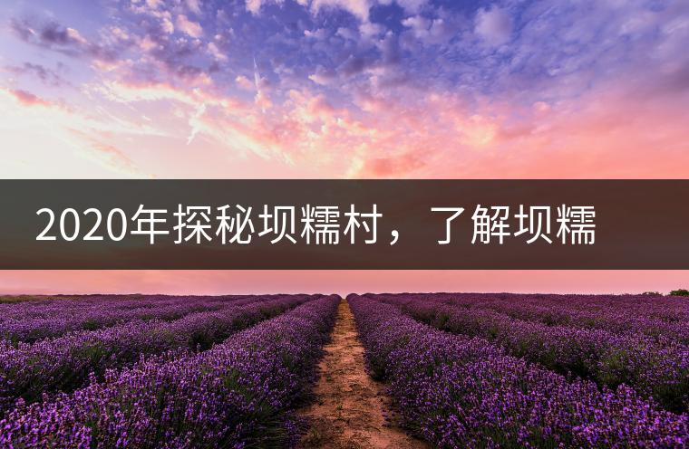 2020年探秘壩糯村，了解壩糯藤條茶的真相