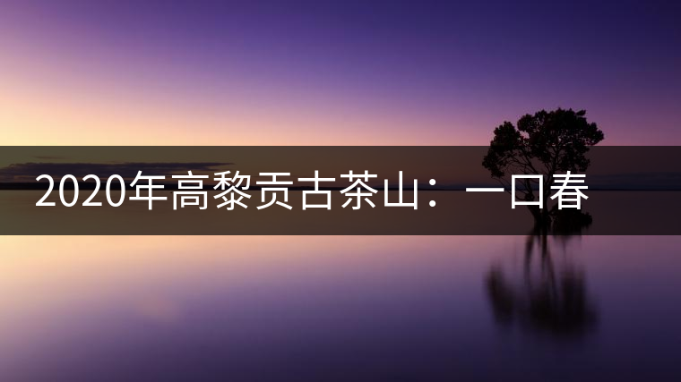 2020年高黎貢古茶山：一口春茶香，一口騰沖味