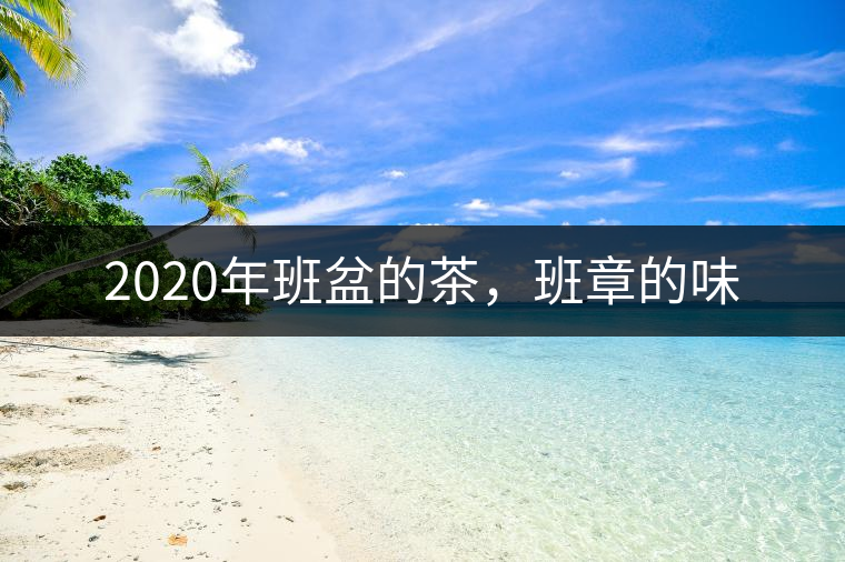 2020年班盆的茶，班章的味