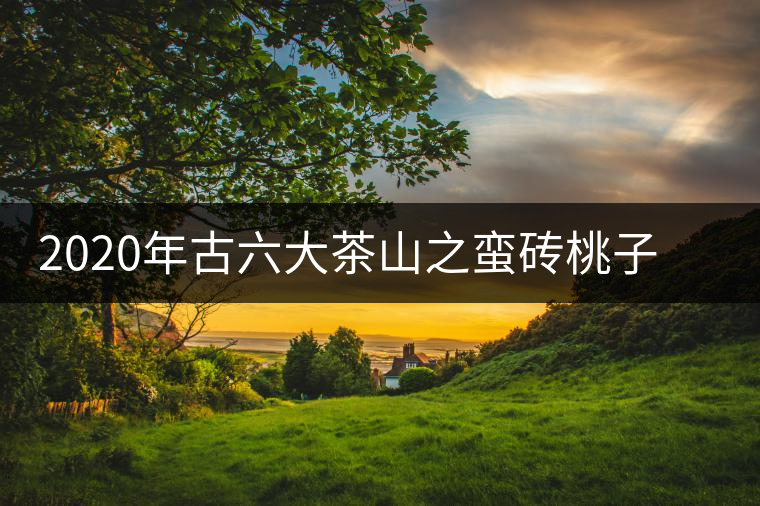 2020年古六大茶山之蠻磚桃子寨古樹茶，瓦龍古樹茶口感與特點(diǎn)