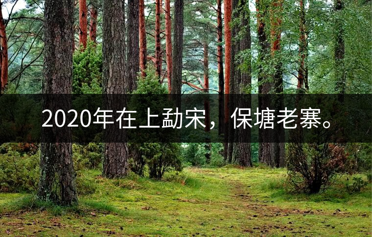 2020年在上勐宋，保塘老寨。