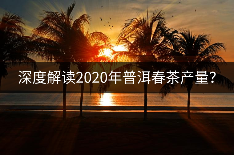 深度解讀2020年普洱春茶產(chǎn)量？