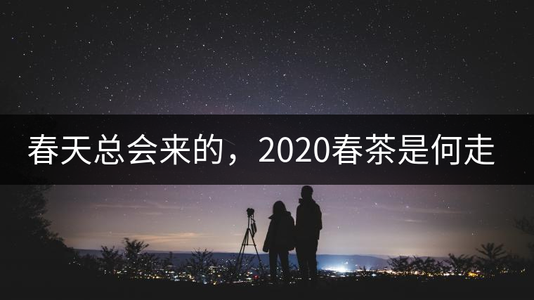 春天總會來的，2020春茶是何走勢？