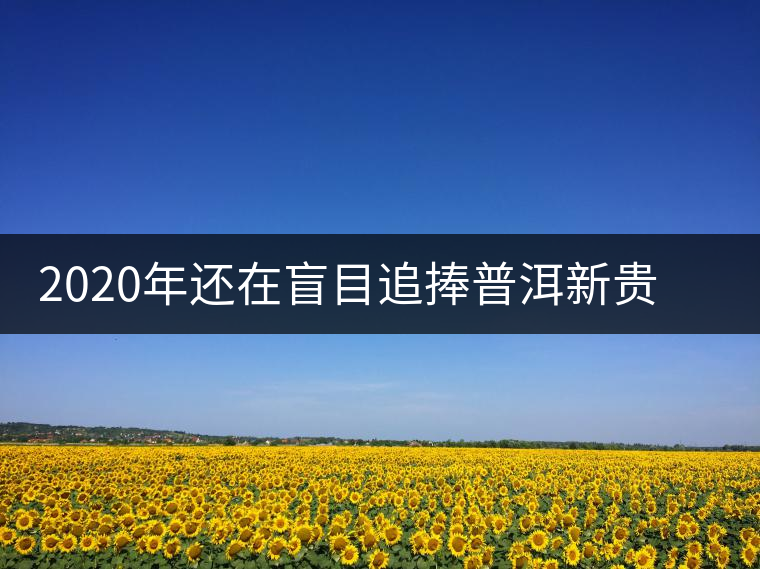 2020年還在盲目追捧普洱新貴“貓耳朵”？我們深入產(chǎn)區(qū)為你揭示最真實(shí)的“貓耳朵”！