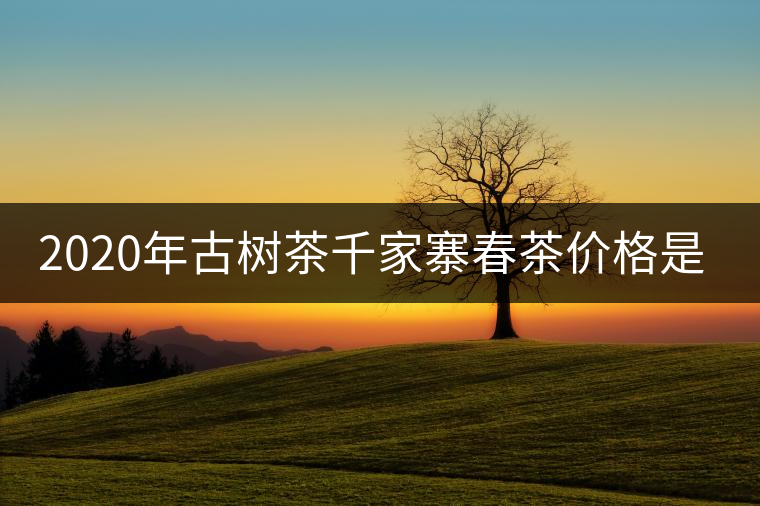 2020年古樹茶千家寨春茶價(jià)格是多少？