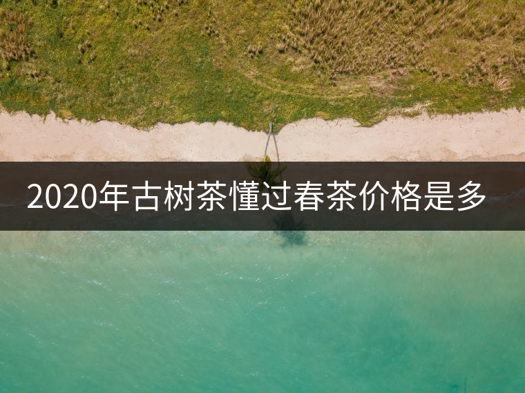 2020年古樹茶懂過春茶價格是多少？