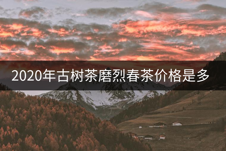 2020年古樹茶磨烈春茶價格是多少？