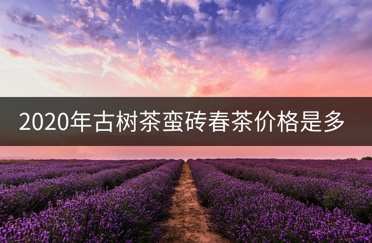 2020年古樹茶蠻磚春茶價(jià)格是多少？