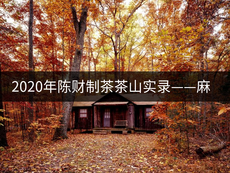 2020年陳財(cái)制茶茶山實(shí)錄——麻黑村下的“茶二代” 2020年陳財(cái)制茶茶山實(shí)錄——麻黑村下的“茶二代”