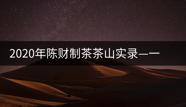 2020年陳財制茶茶山實錄—一手提7山，感受小產(chǎn)區(qū)的奧秘