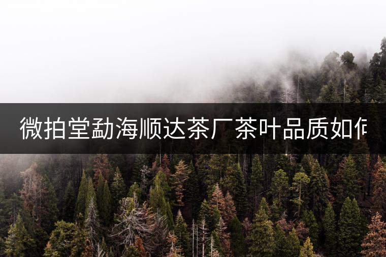 微拍堂勐海順達(dá)茶廠茶葉品質(zhì)如何？