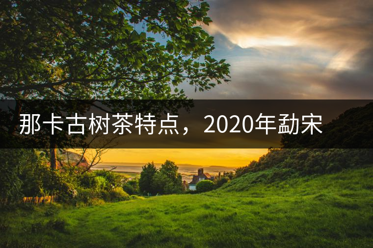 那卡古樹茶特點(diǎn)，2020年勐宋茶區(qū)保塘普洱茶口感